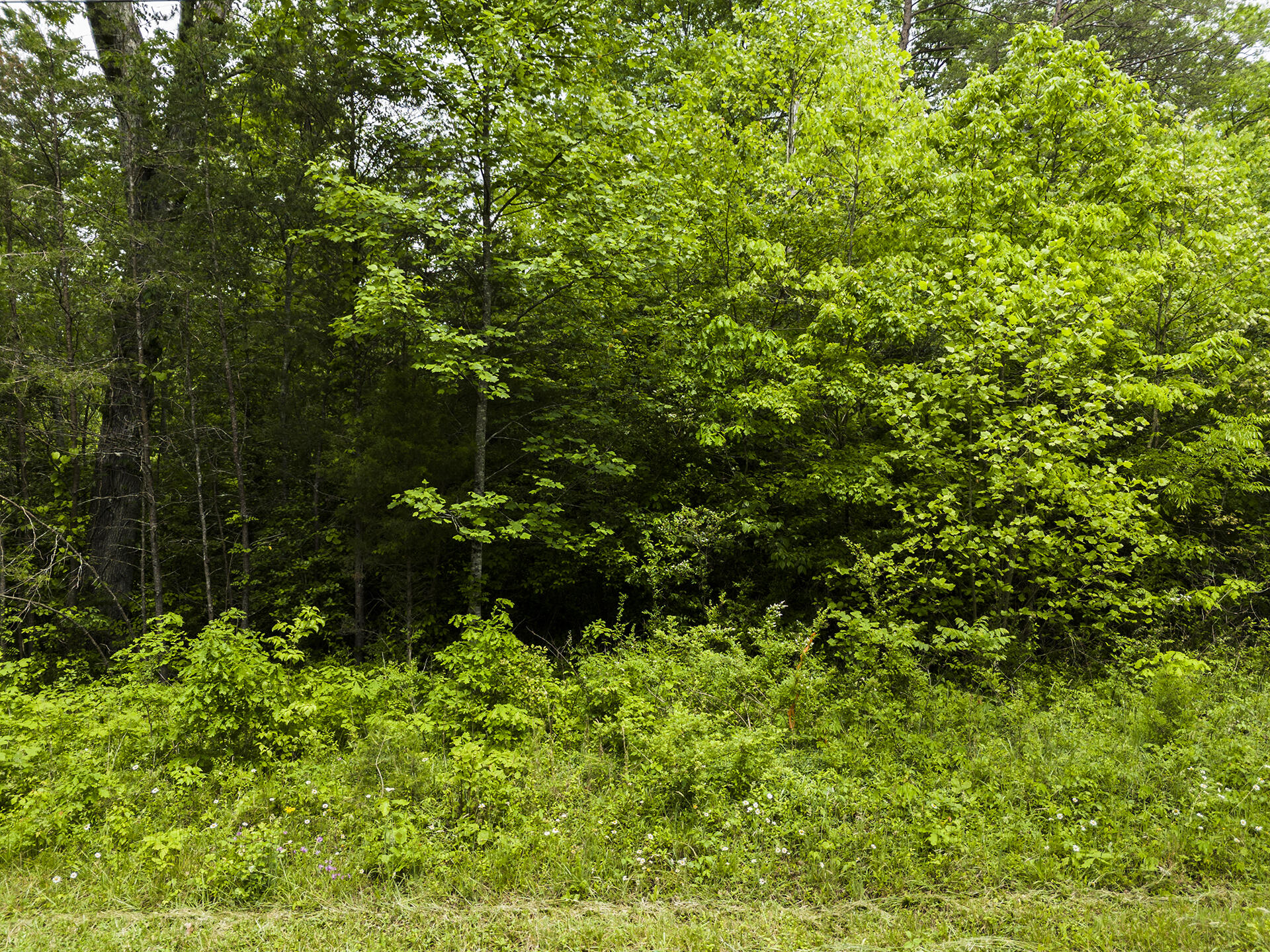 2361 Colony Road Gruetli Laager, TN 37339 - Photo 5 of 8 DJI_20250520143856_0366_D