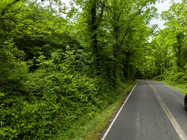 $299,900 | 2361 Colony Road, Gruetli Laager, TN 37339