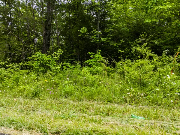 $299,900 | 2361 Colony Road, Gruetli Laager, TN 37339