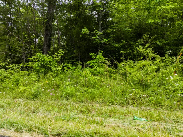 $299,900 | 2361 Colony Road, Gruetli Laager, TN 37339