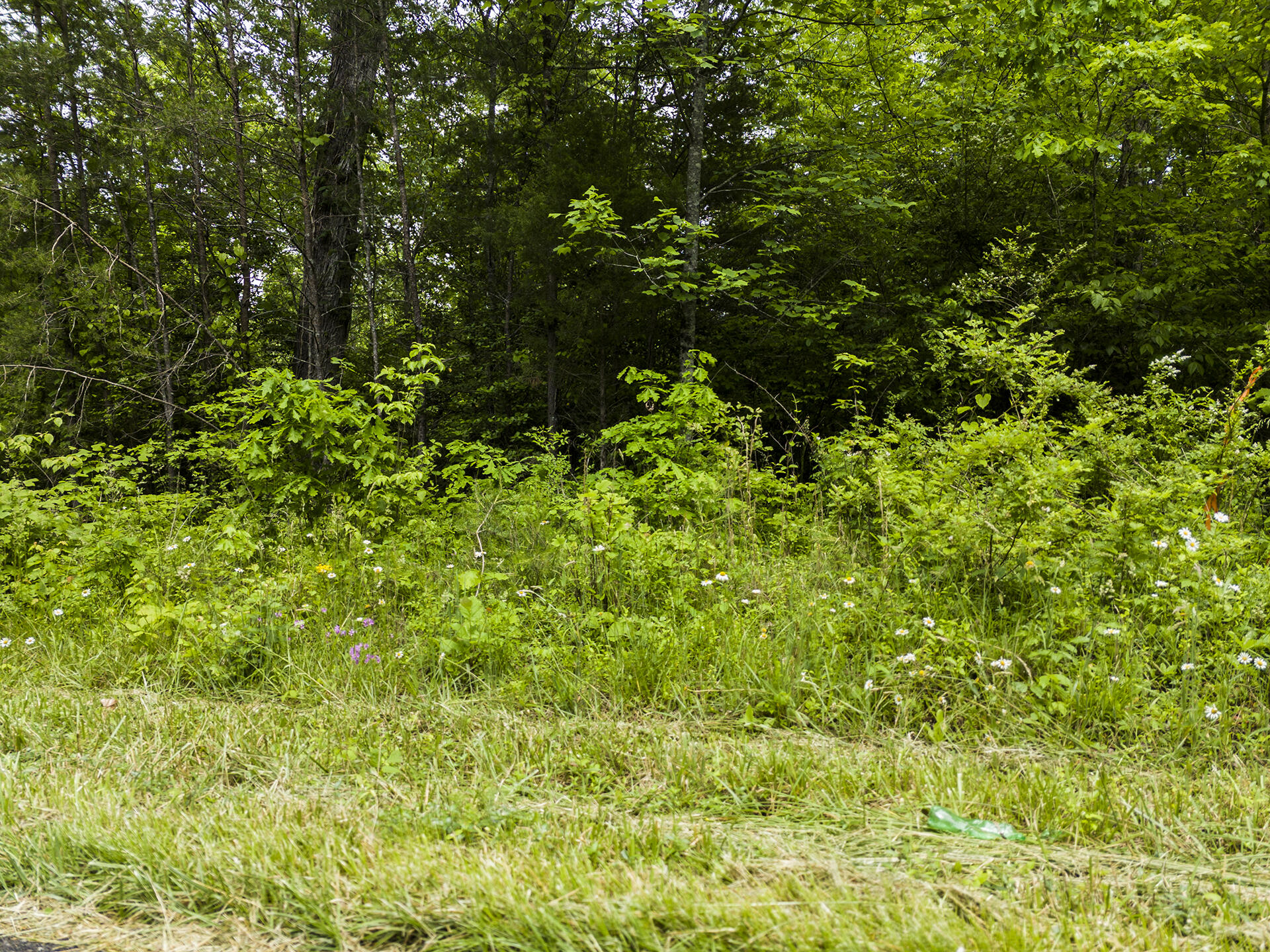 2361 Colony Road Gruetli Laager, TN 37339 - Photo 8 of 8 DJI_20250520143924_0369_D