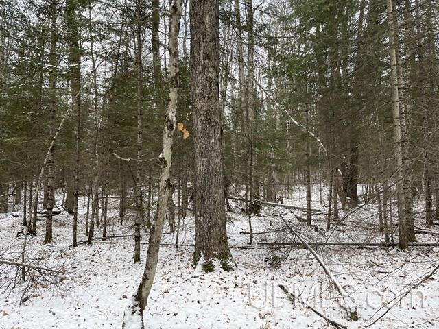 545 South Rd Skandia Mi 49885 Road Skandia, MI 49885 - Photo 25 of 38