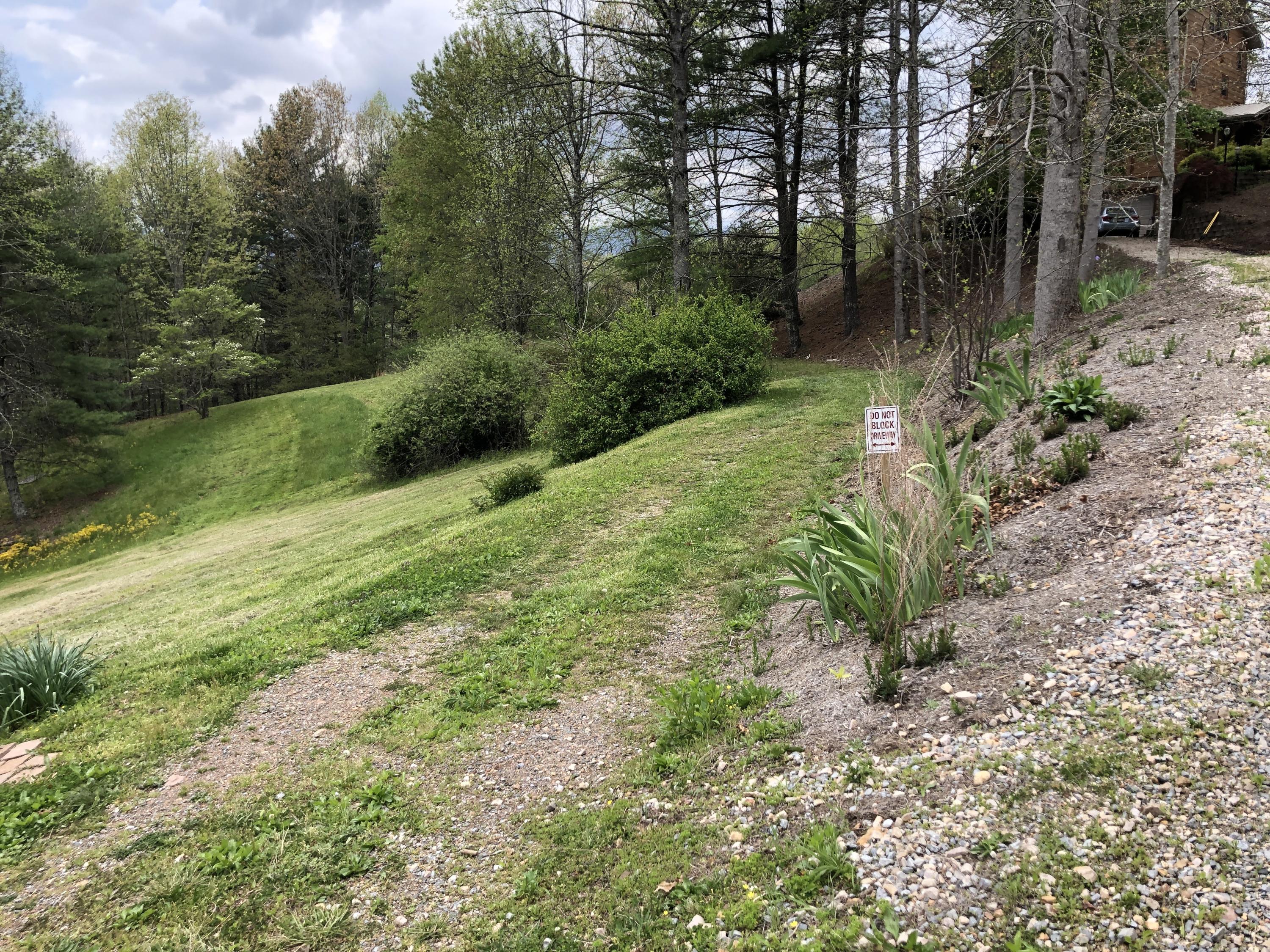 Lot 51 Tank Road, Unit 51 Butler, TN 37640 - Photo 12 of 22 Walking Path to Lake