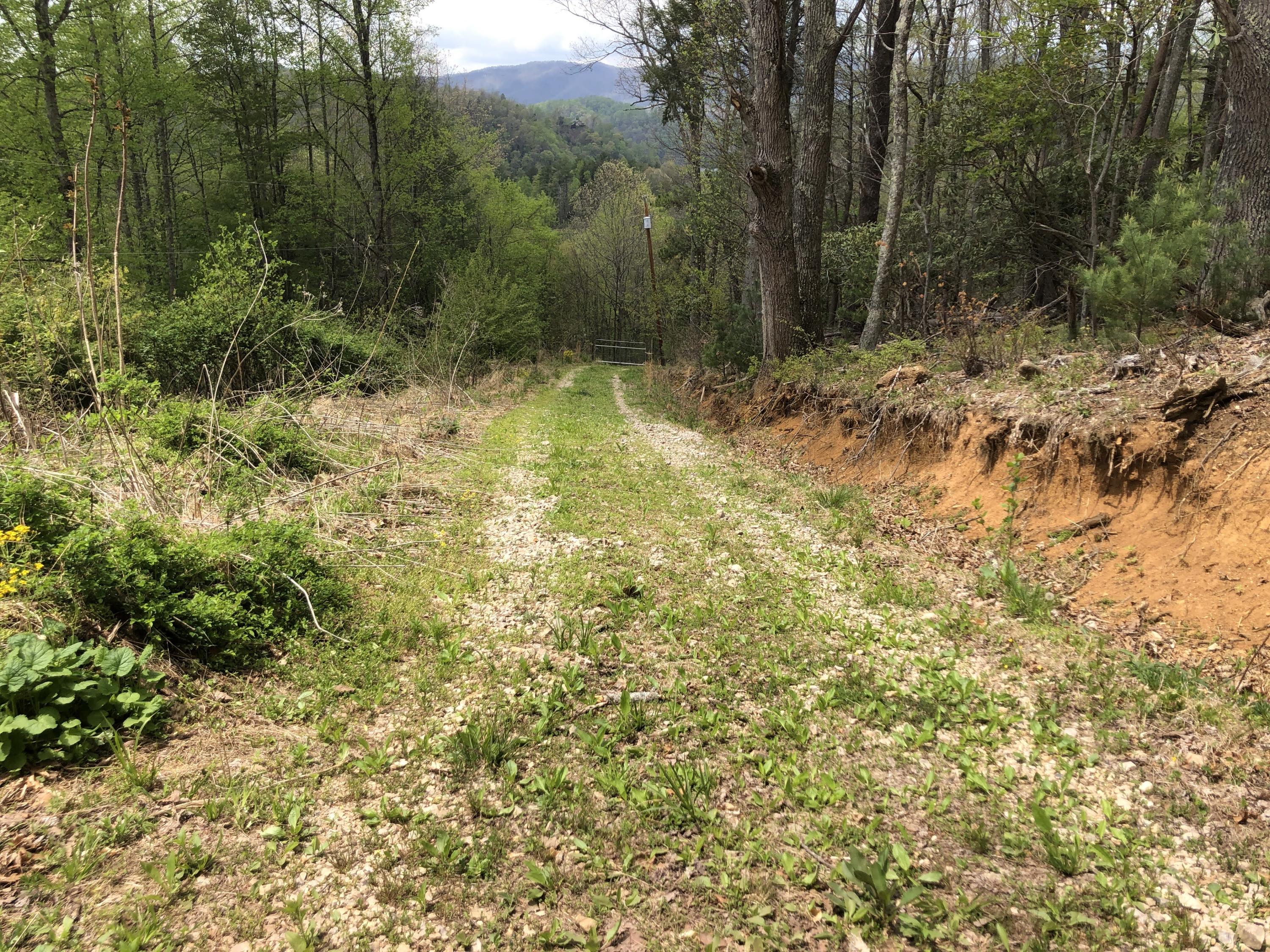 Lot 51 Tank Road, Unit 51 Butler, TN 37640 - Photo 15 of 22 Upper Road