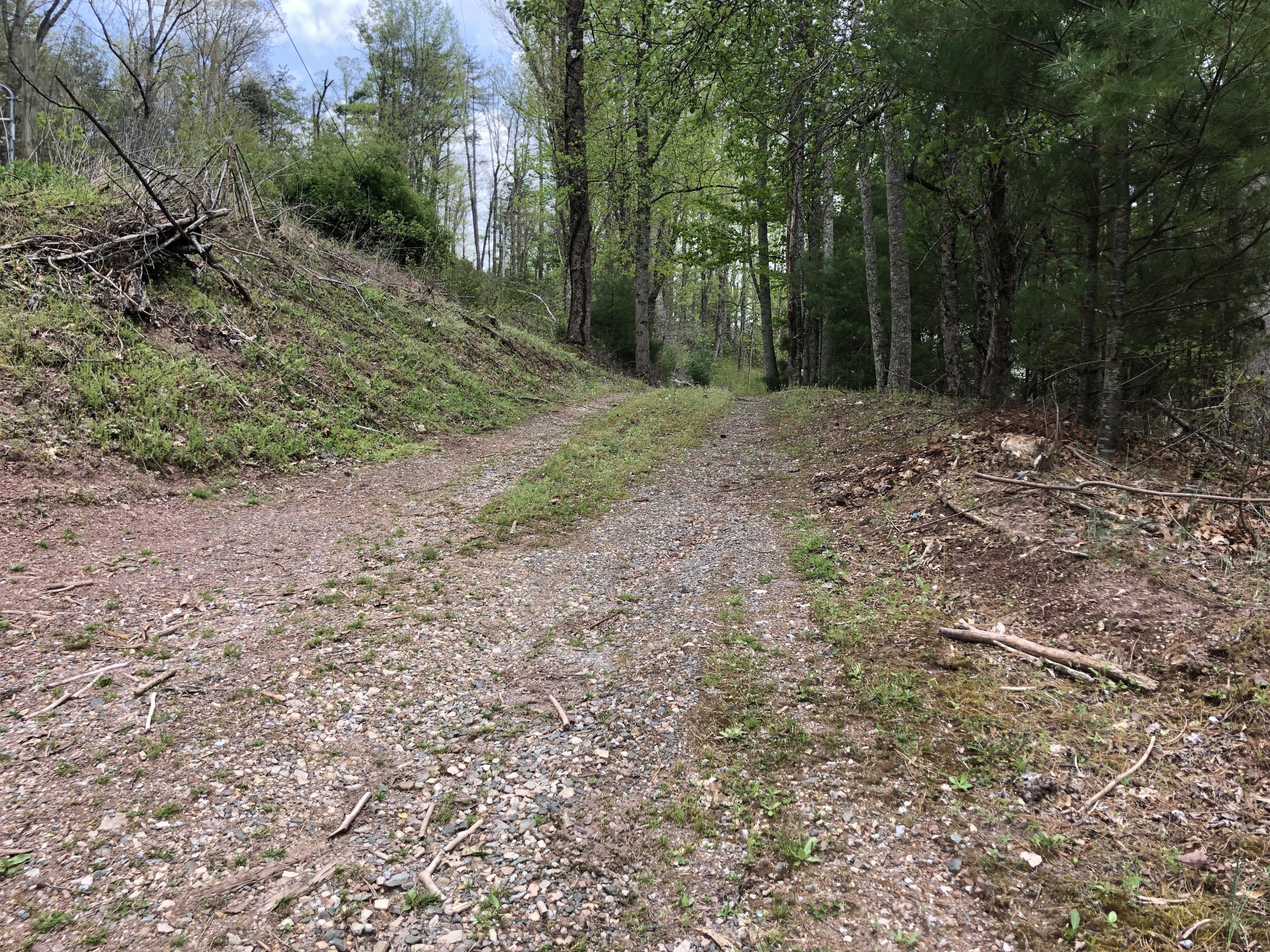 Lot 51 Tank Road, Unit 51 Butler, TN 37640 - Photo 16 of 22 Lower Road