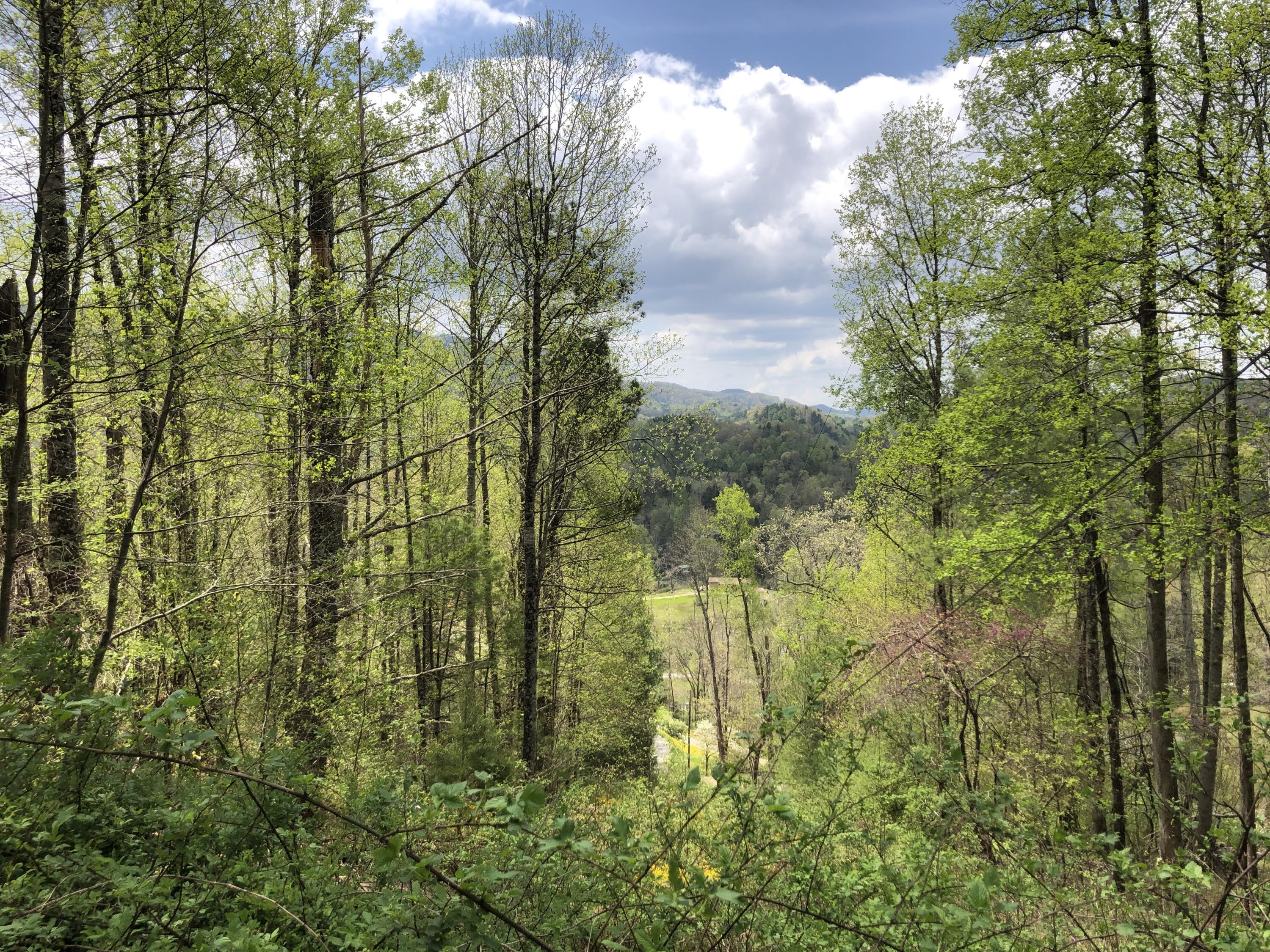 Lot 51 Tank Road, Unit 51 Butler, TN 37640 - Photo 4 of 22 Looking West toward Mountains