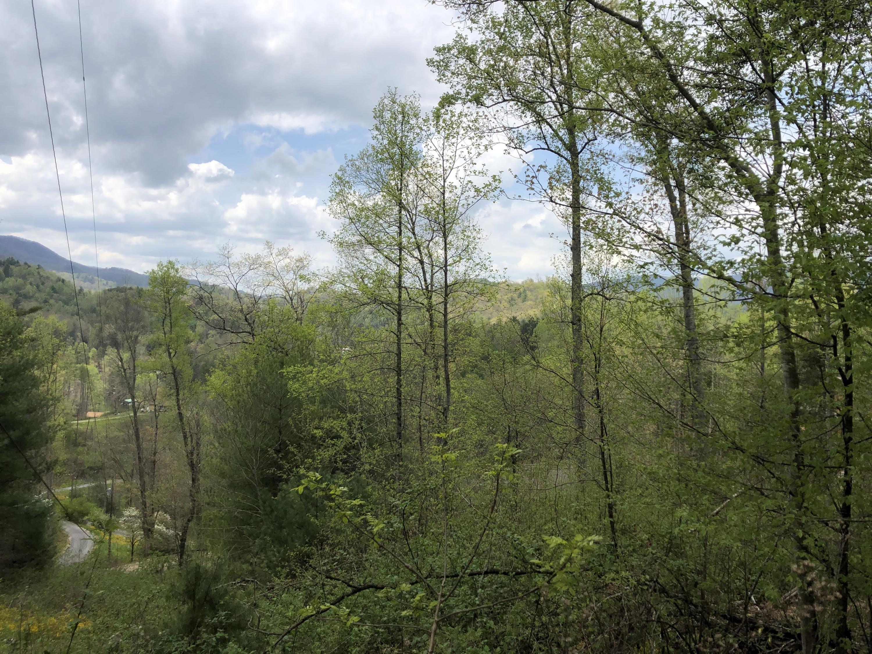 Lot 51 Tank Road, Unit 51 Butler, TN 37640 - Photo 5 of 22 Mountain and Lake Views