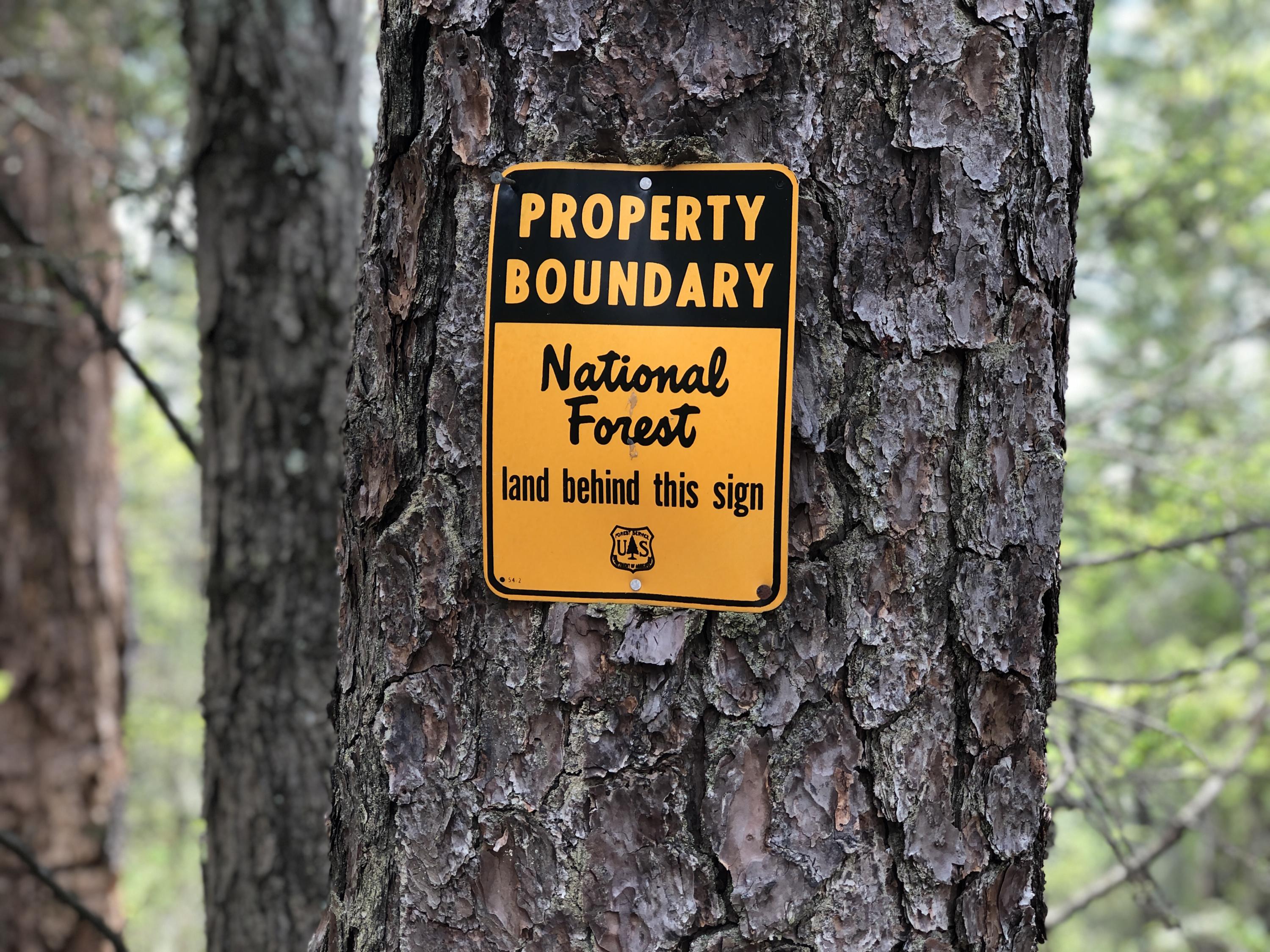Lot 51 Tank Road, Unit 51 Butler, TN 37640 - Photo 6 of 22 National Forest Boundary
