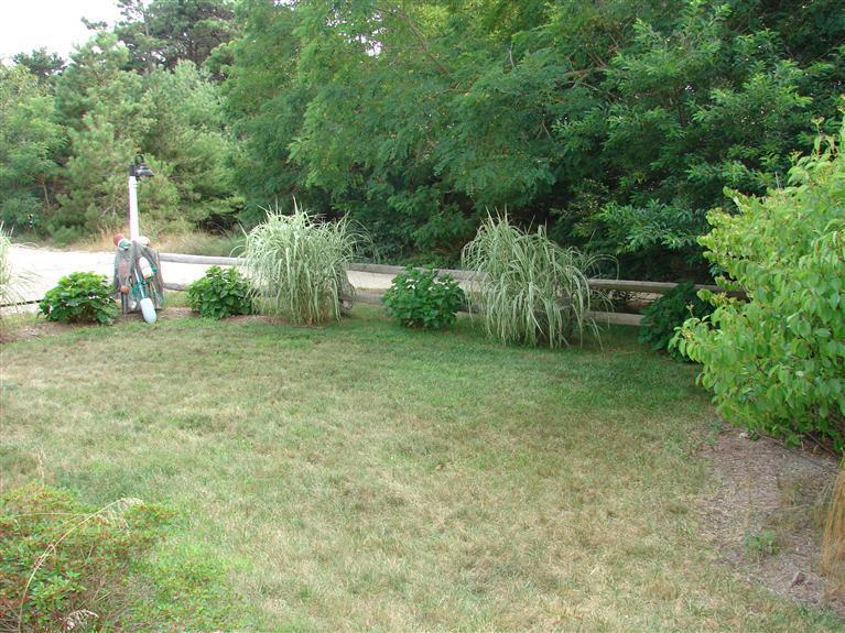 6 Shore Road, Unit 9 Truro, MA 02666 - Photo 14 of 19 a view of a field with trees in the background