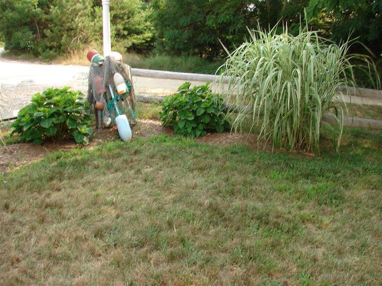 6 Shore Road, Unit 9 Truro, MA 02666 - Photo 15 of 19 a view of a garden