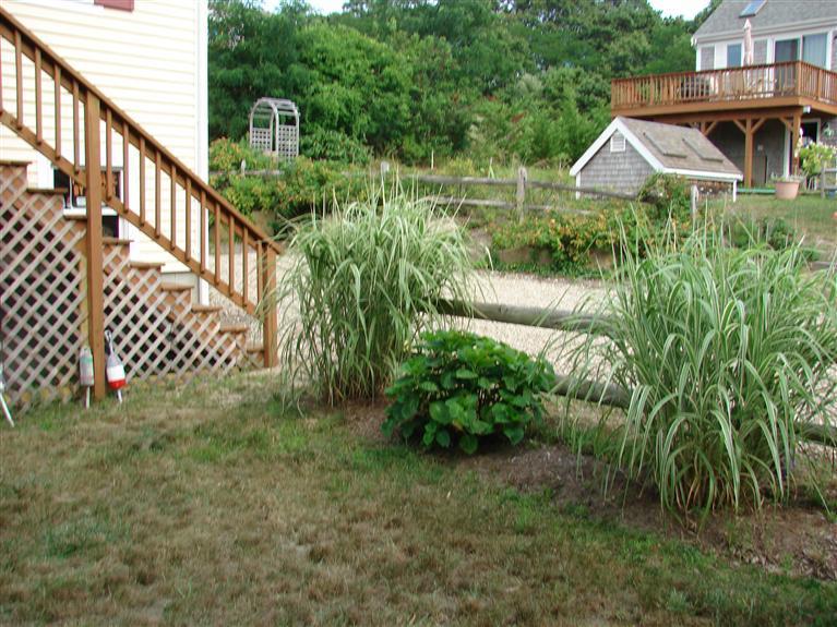 6 Shore Road, Unit 9 Truro, MA 02666 - Photo 17 of 19 a view of a garden in front of house