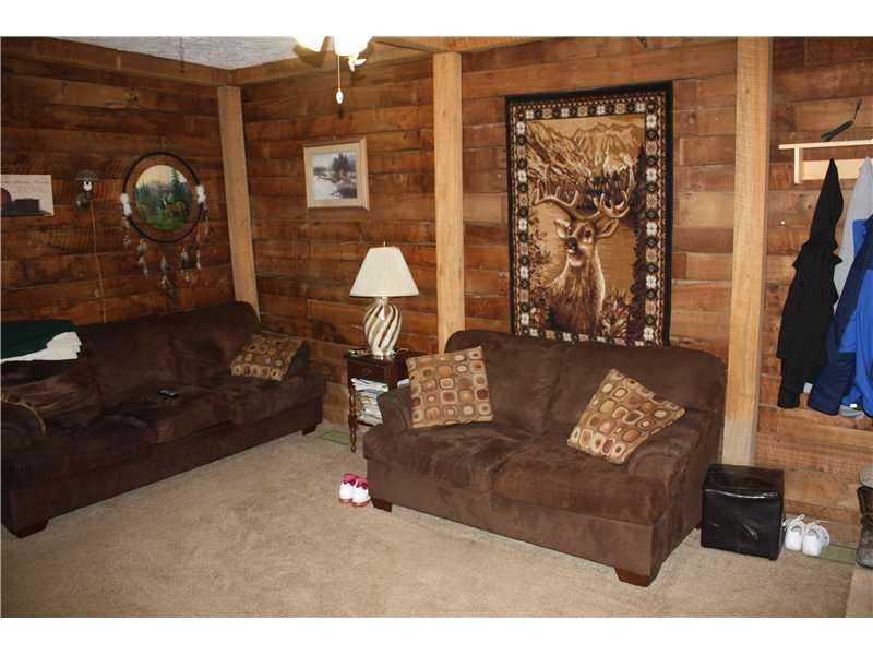 320 McCracken Road Wind Ridge, PA 15380 - Photo 4 of 11 Family Room.