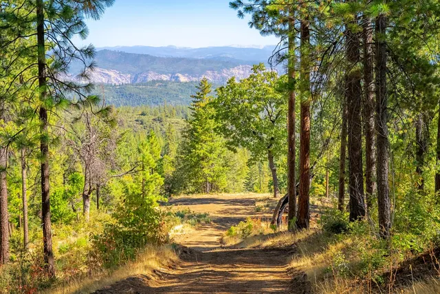 a view of a yard with wooden fence