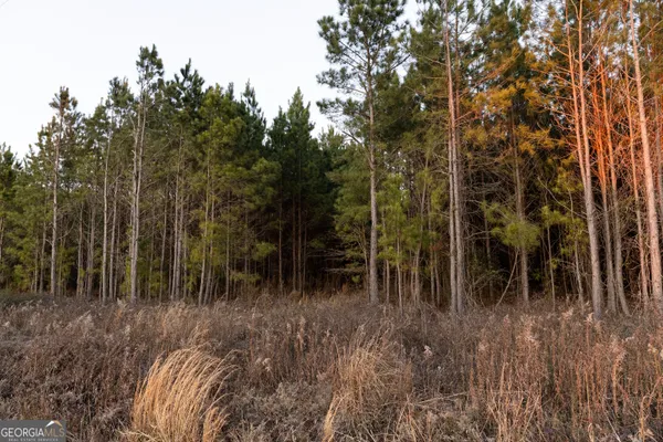 $45,000 | 0 Highway 26, Montrose, GA 31065