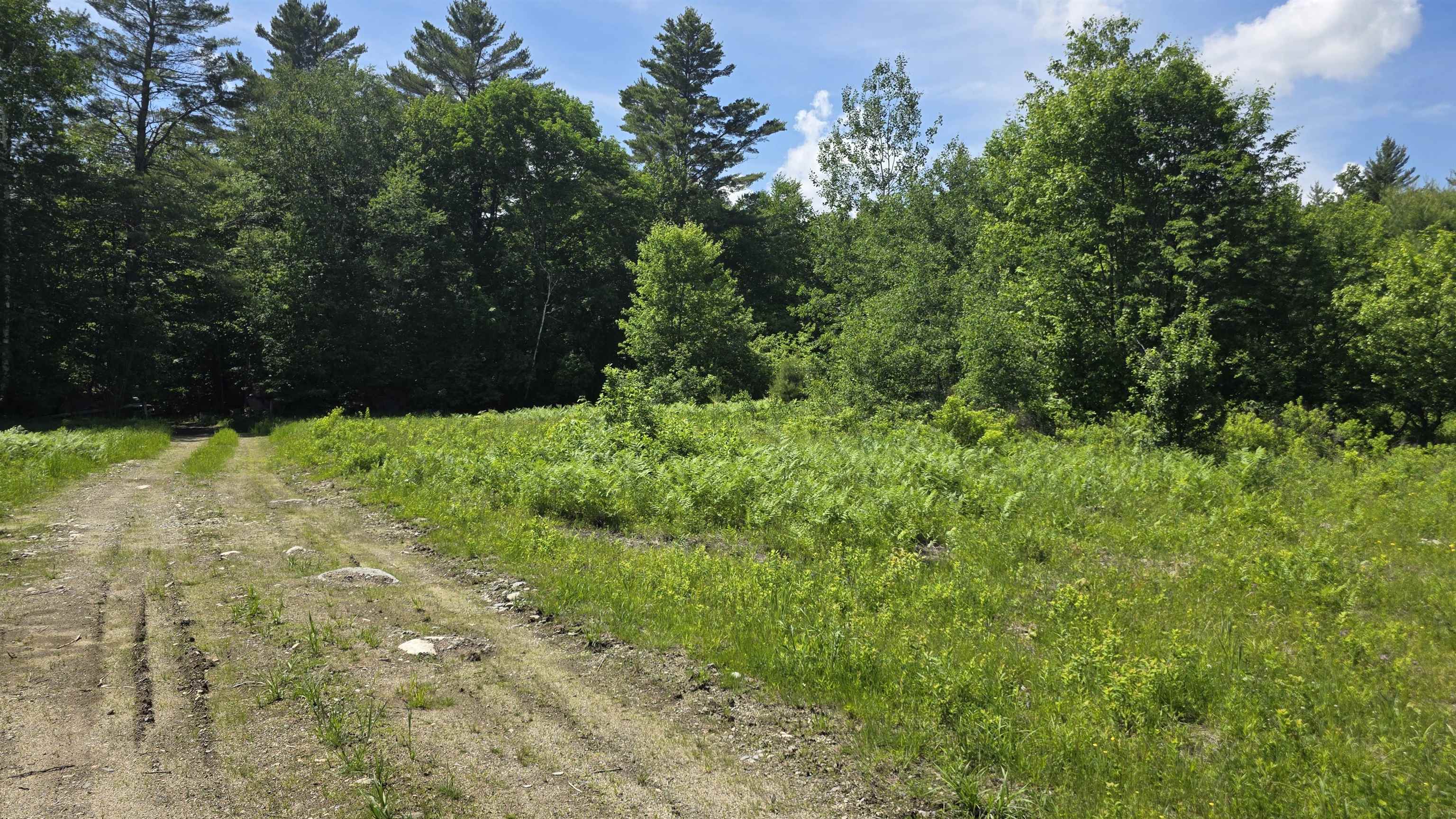 91 Venheim Road, Unit 1 Lunenburg, VT 05906 - Photo 50 of 55