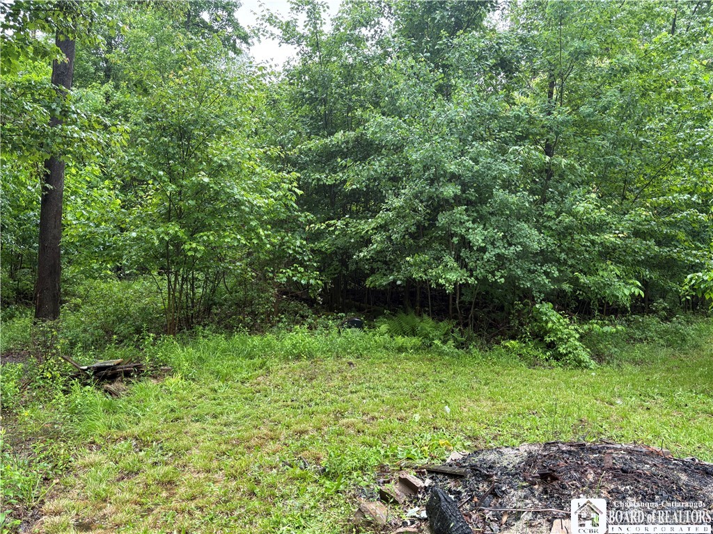 Scott Road Frewsburg, NY 14738 - Photo 3 of 16