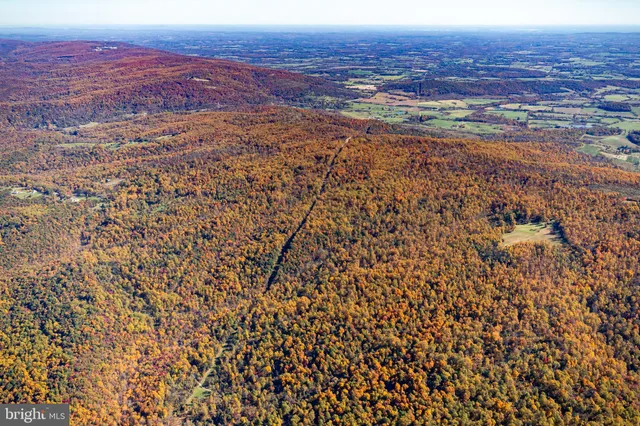 a view of city and mountain