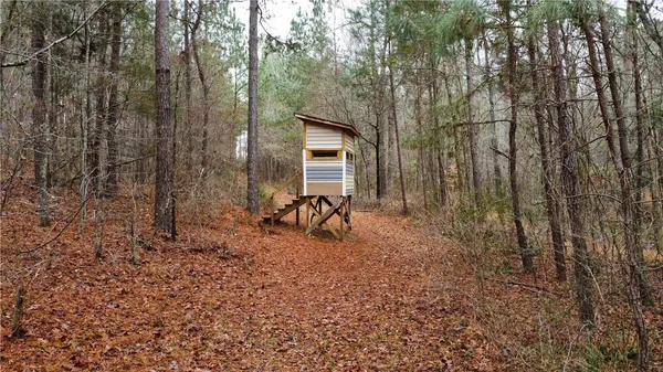 $390,000 | 0 Chappells Highway, Chappells, SC 29037