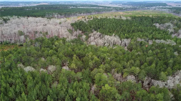 $390,000 | 0 Chappells Highway, Chappells, SC 29037