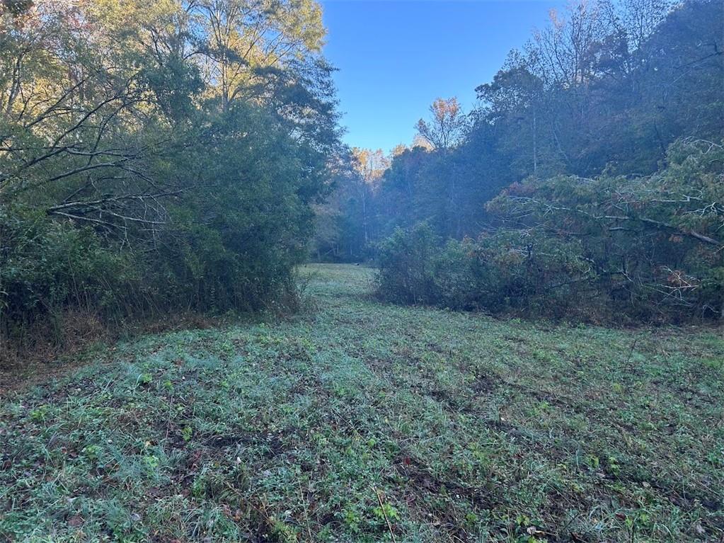 0 Old Columbus Road Bowdon, GA 30108 - Photo 12 of 26
