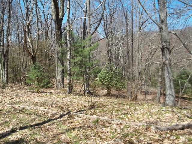 Off Lost Lake Road, Unit 3 Troutdale, VA 24378 - Photo 2 of 7 Gallery Image 2