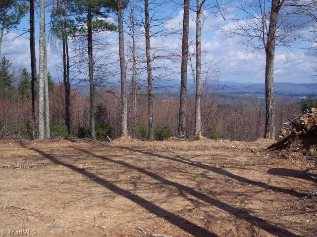 17 Sweetwater Road Boomer, NC 28606 - Photo 1 of 1 Main View