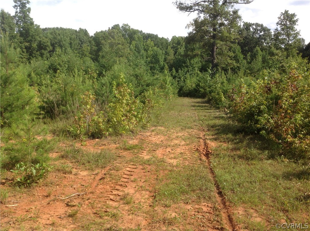 0 Meador Road Cumberland, VA 23040 - Photo 11 of 18 Gallery Image 11