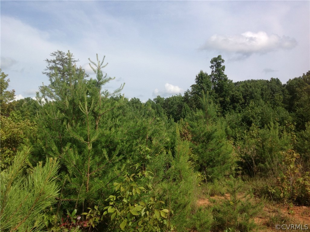 0 Meador Road Cumberland, VA 23040 - Photo 14 of 18 Gallery Image 14
