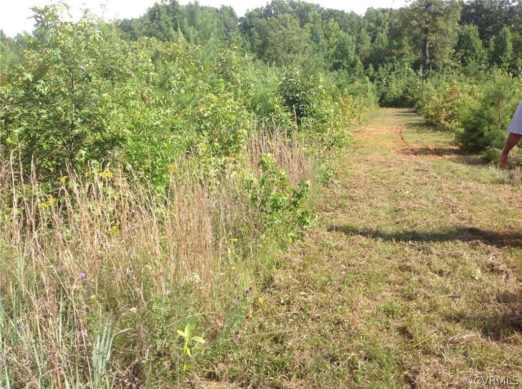 0 Meador Road Cumberland, VA 23040 - Photo 10 of 18 Gallery Image 10