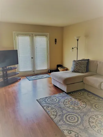 a living room with furniture and a rug