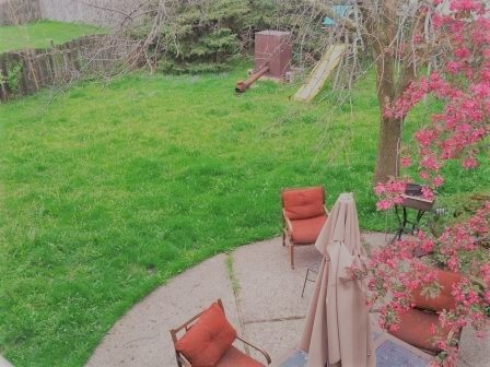 107 Horatio Boulevard Buffalo Grove, IL 60089 - Photo 26 of 27 a garden view with a seating space