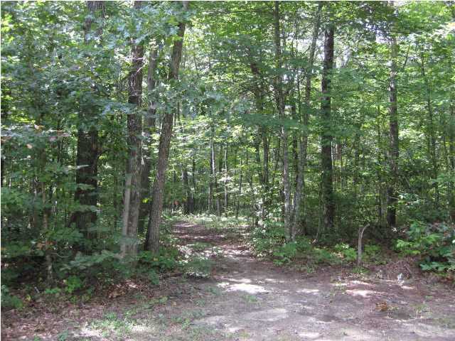171 Windy Hollow Road Dunlap, TN 37327 - Photo 10 of 25 Additional Photo