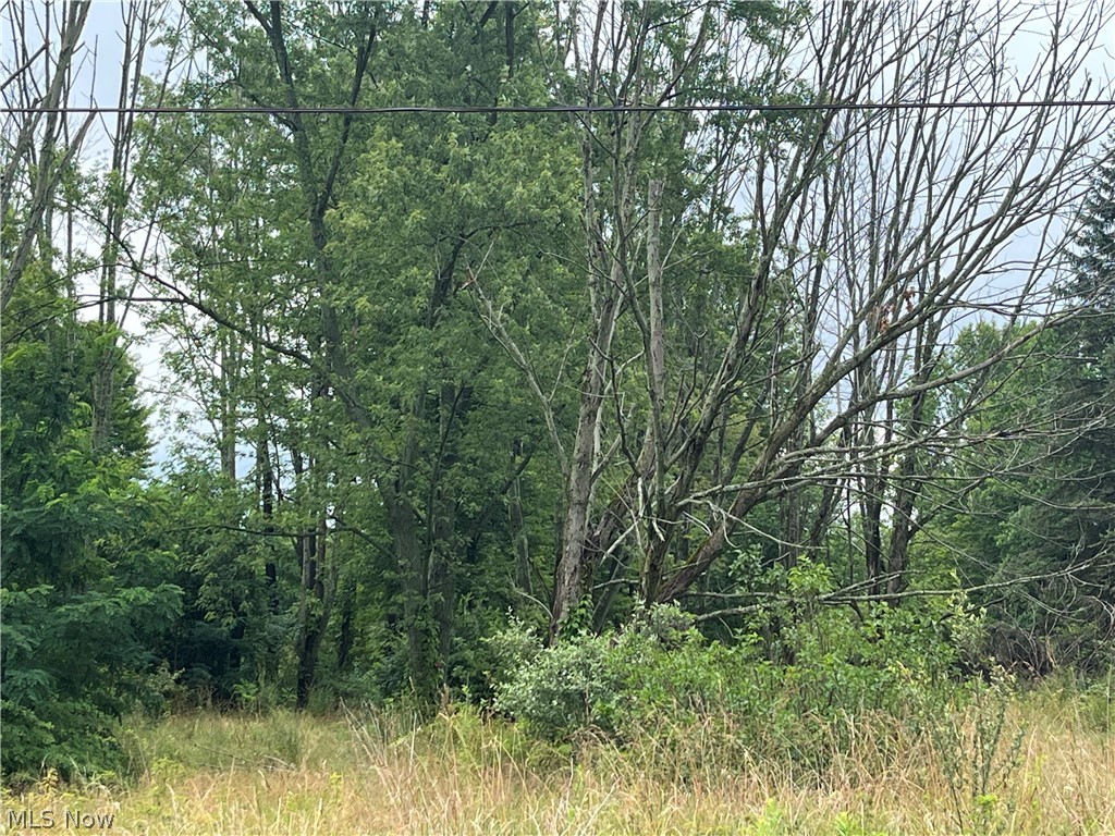 Stanley Road Garrettsville, OH 44231 - Photo 5 of 17 Wooded Property