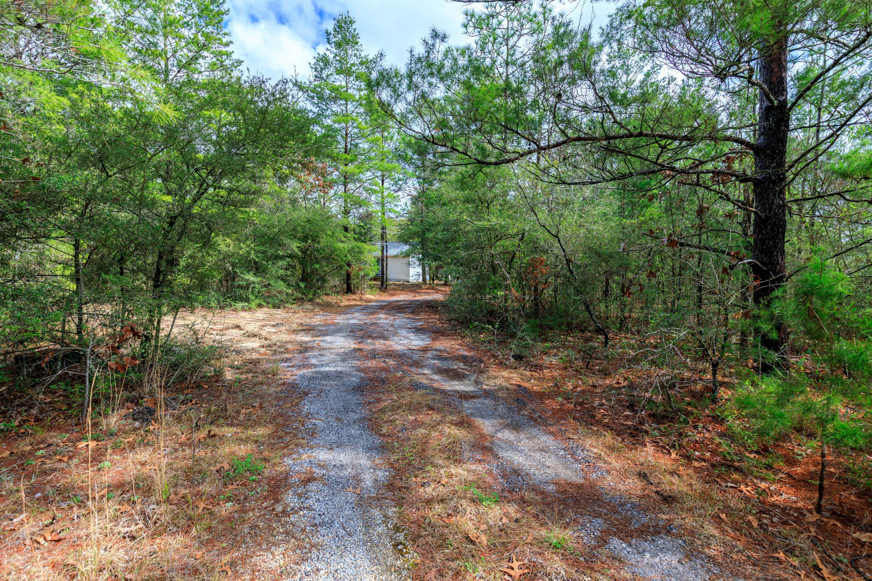 1504 Hinote Road DeFuniak Springs, FL 32433 - Photo 9 of 21 a view of backyard with green space
