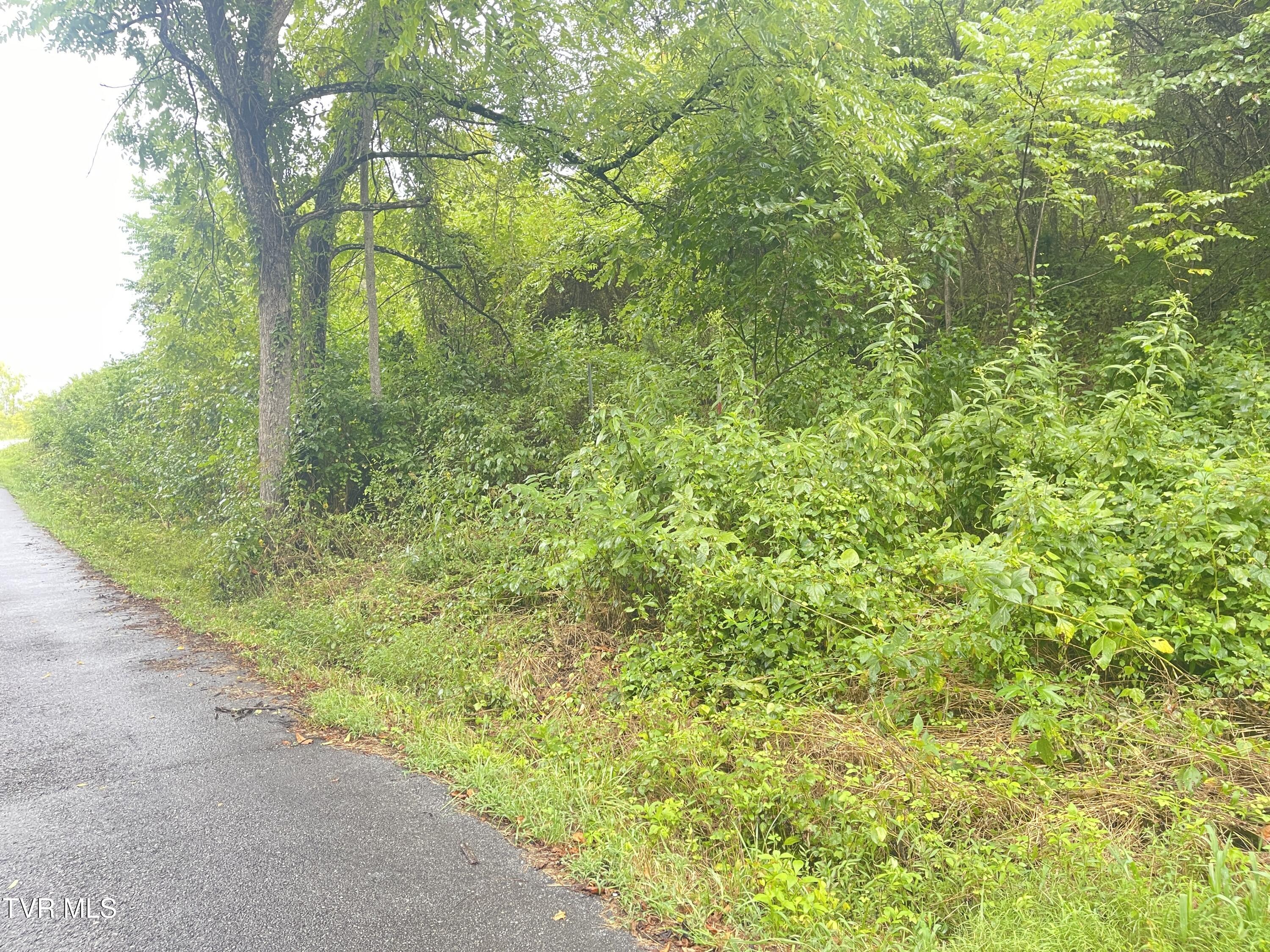 0 Hoover Road Greeneville, TN 37745 - Photo 2 of 8 IMG_0584