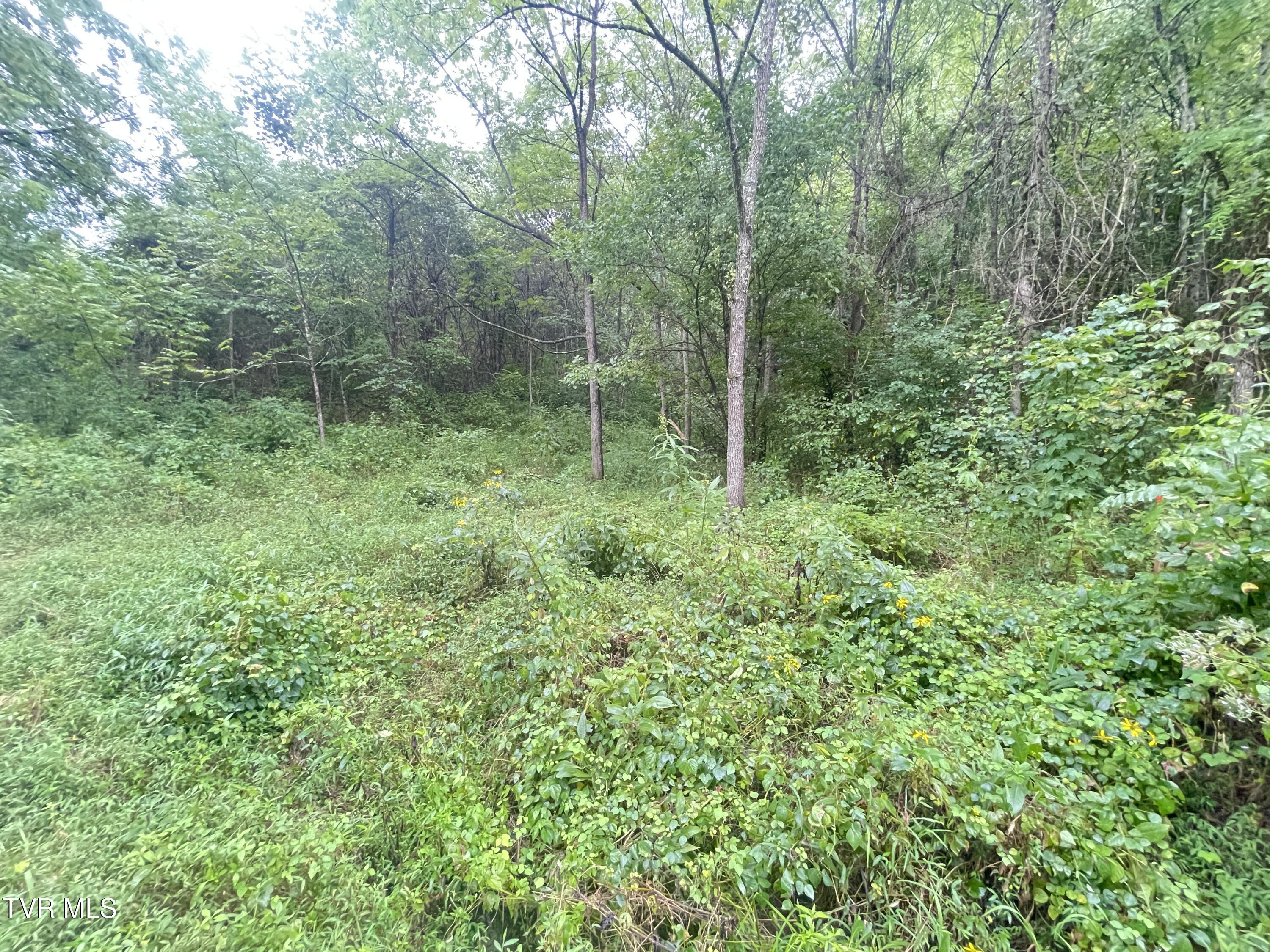 0 Hoover Road Greeneville, TN 37745 - Photo 5 of 8 IMG_0591