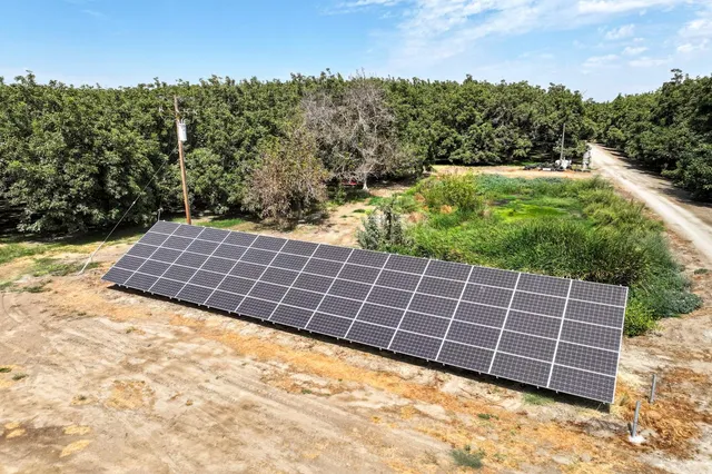 a view of a backyard with plants