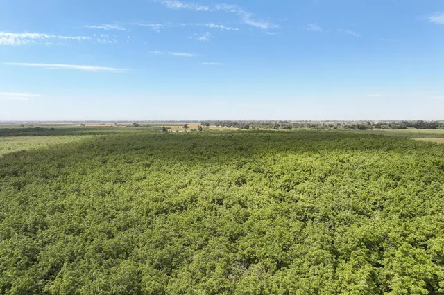 a view of a lake with houses in the back