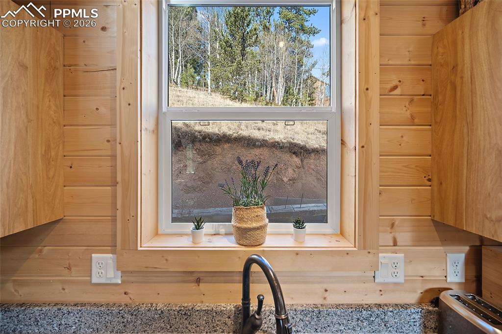 213 Willow Road Divide, CO 80814 - Photo 15 of 49