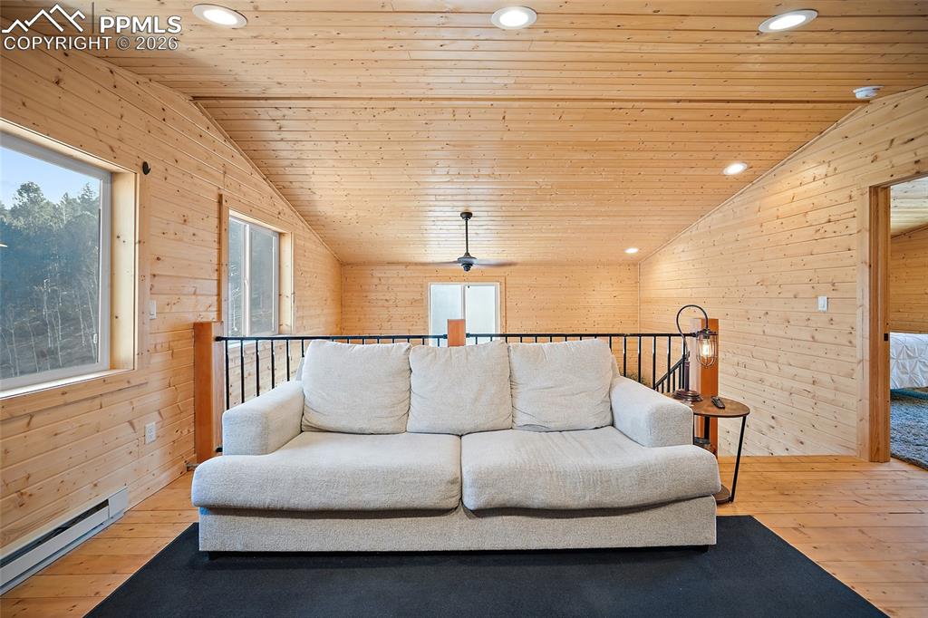 213 Willow Road Divide, CO 80814 - Photo 18 of 49