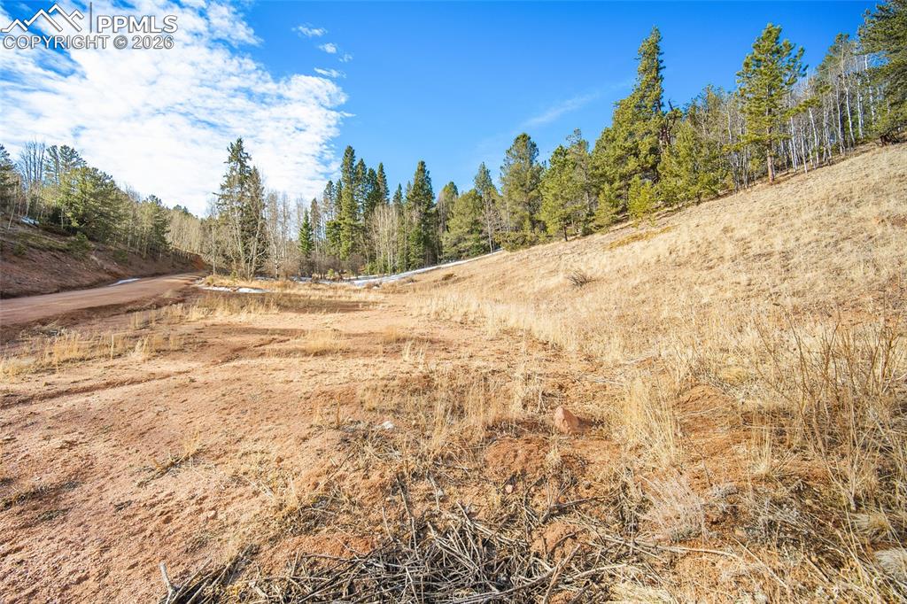 213 Willow Road Divide, CO 80814 - Photo 40 of 49