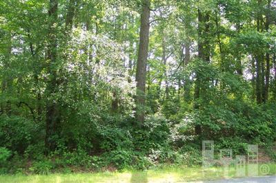 0 Smith Road Clinton, NC 28328 - Photo 1 of 4 Primary Photo