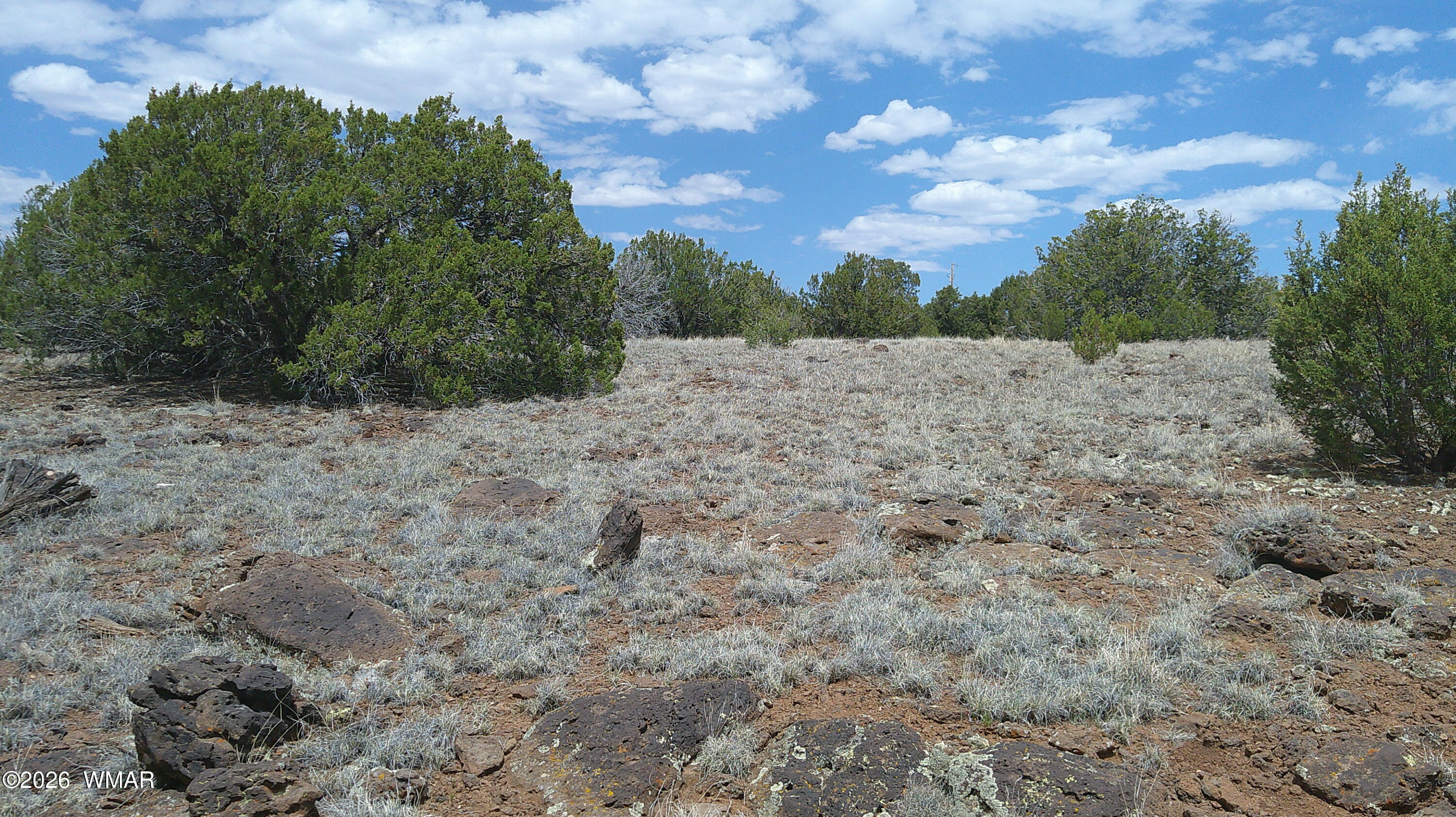 74 Co Road Concho, AZ 85924 - Photo 10 of 11 DSCF0007