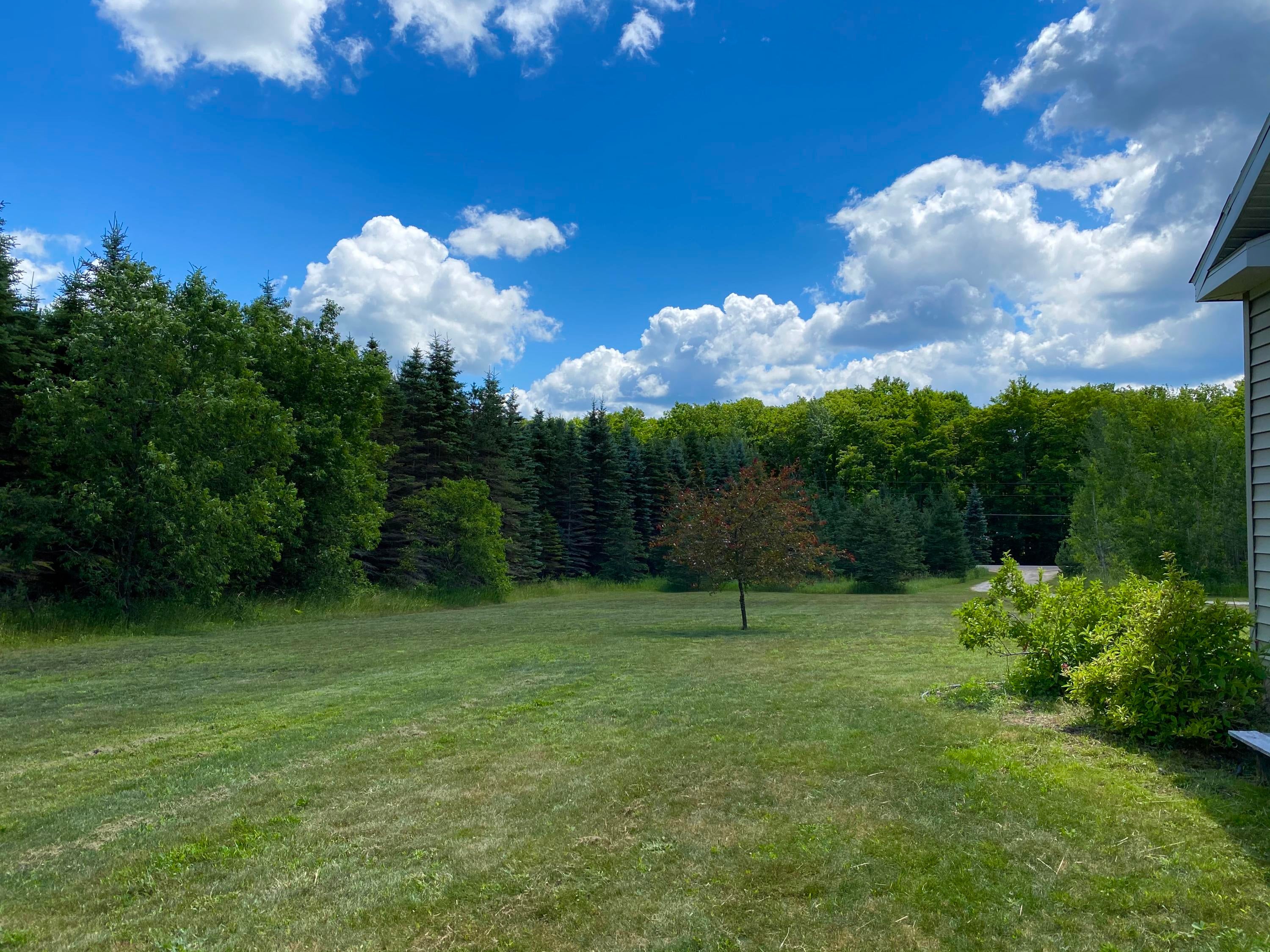 5456 Van Tyle Road Gaylord, MI 49735 - Photo 37 of 38 Gallery Image 37