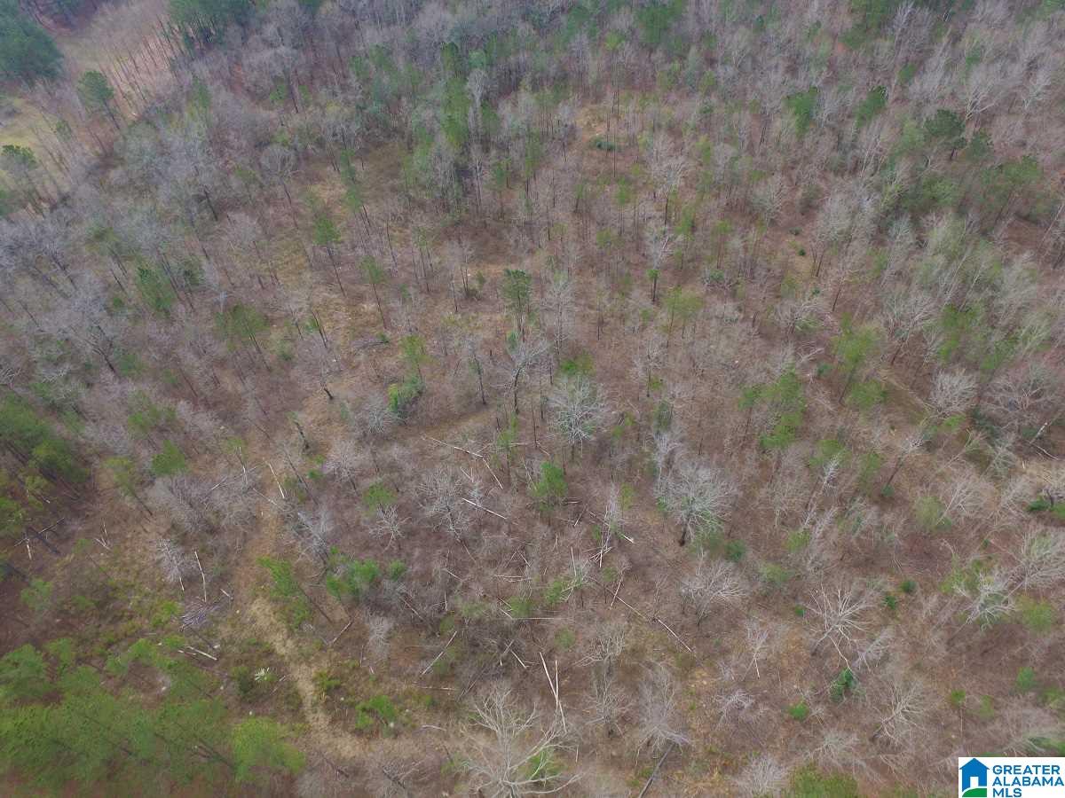0 Melissa Robyn Road, Unit 1 Deatsville, AL 36022 - Photo 26 of 29
