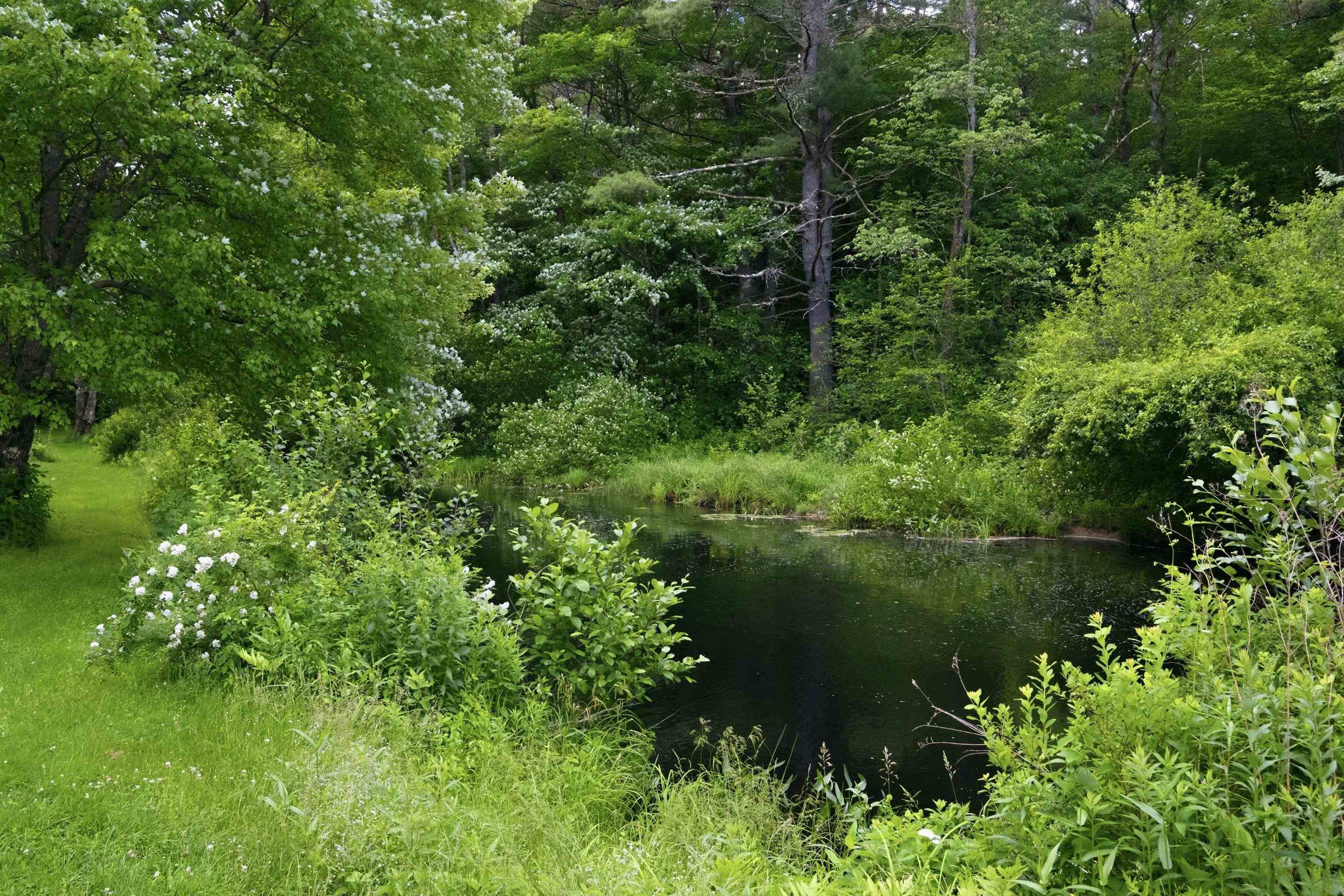 45 Tilton Bridge Road Sanbornton, NH 03269 - Photo 40 of 47