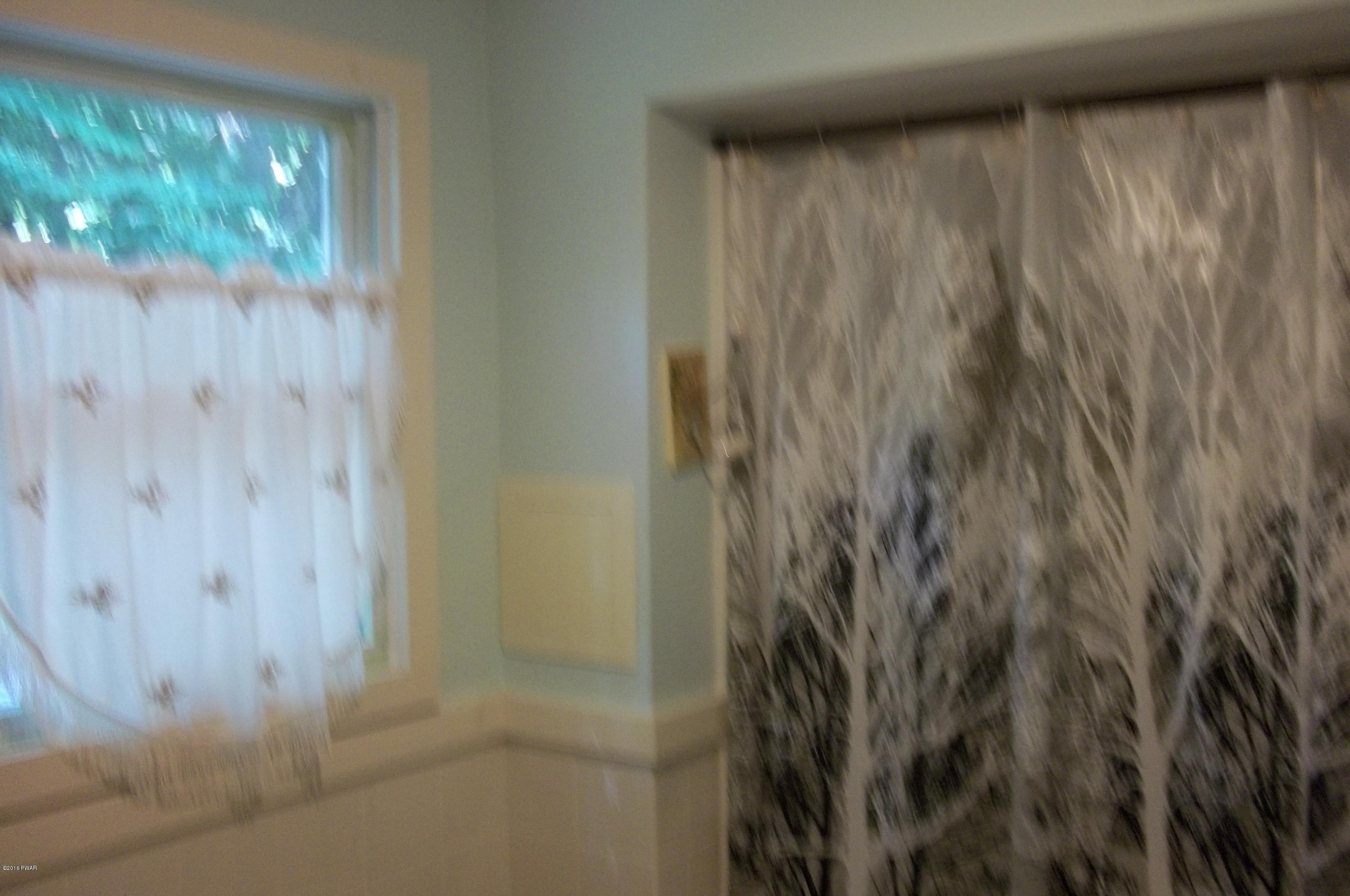 61 Deerfoot Road Lake Ariel, PA 18436 - Photo 16 of 20 Bathroom