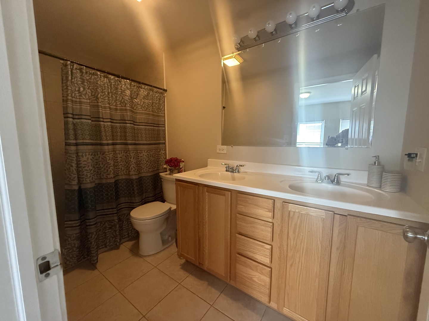 183 East River Road, Unit C1 Des Plaines, IL 60016 - Photo 17 of 25 a bathroom with a sink toilet and shower