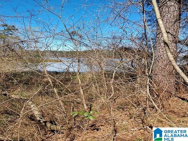 145 Naval Reserve Road, Unit 1 Bessemer, AL 35023 - Photo 5 of 7