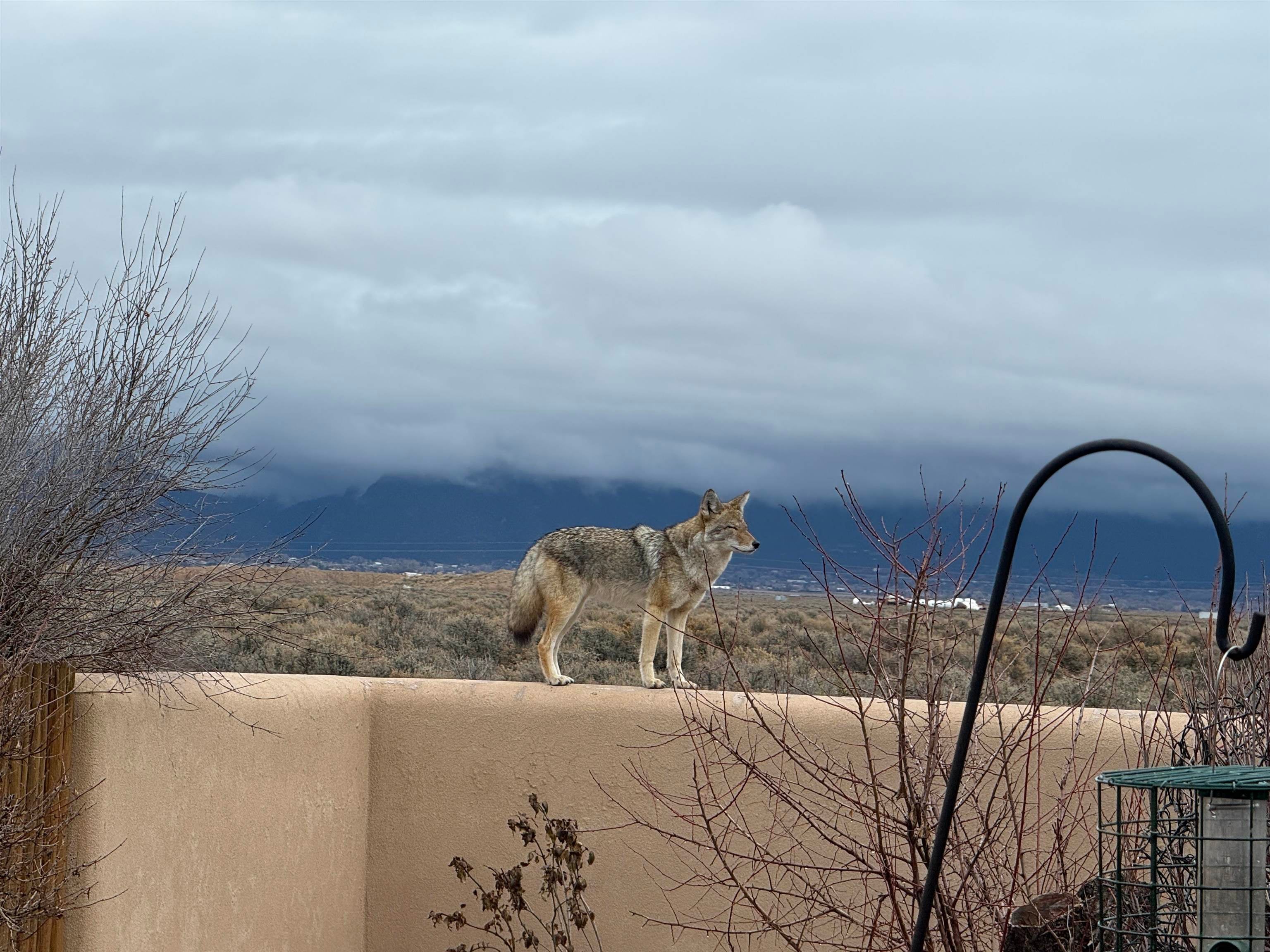 6 Bad Dog Road El Prado, NM 87529 - Photo 44 of 44 Gallery Image 44